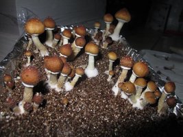 IMG_8836_845x634.jpg