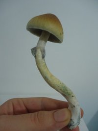 DSC01409.JPG