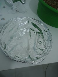 DSC01427.JPG