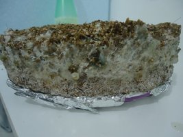 DSC01430.JPG