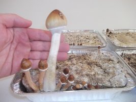 DSCF1122.JPG
