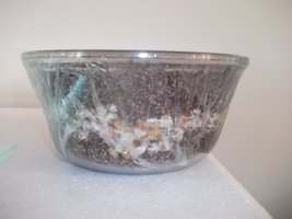 DSCF1135.JPG