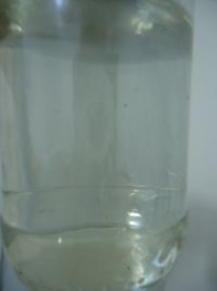 DSC01514.JPG