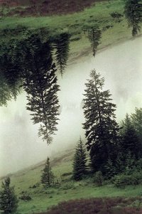 551293_608491179180740_1213985057_n.jpg