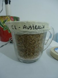 DSC01561.JPG