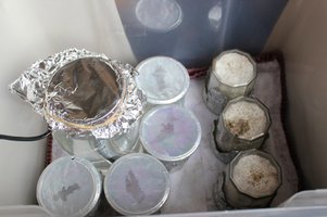 IMG_8921.JPG