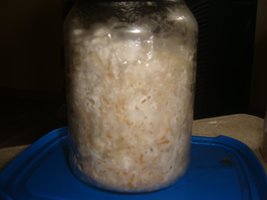 DSC03531.JPG