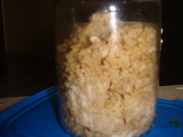DSC03535.JPG