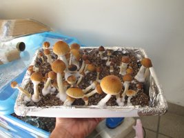 IMG_8851_845x634.jpg