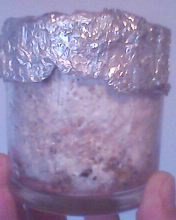 IMG0179A.jpg
