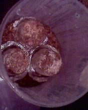 IMG0193A.jpg