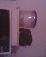 IMG0194A.jpg
