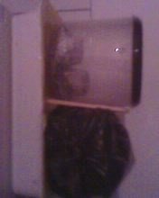 IMG0195A.jpg