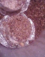 IMG0198A.jpg