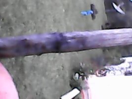 IMG0058A.jpg
