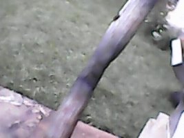 IMG0059A.jpg