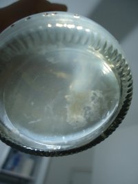 DSC01652.JPG