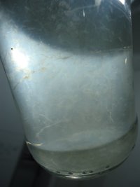 DSC01653.JPG