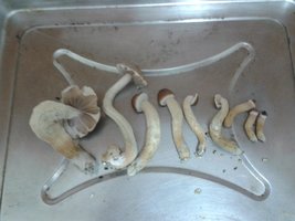 2013-05-06 19.49.14.jpg