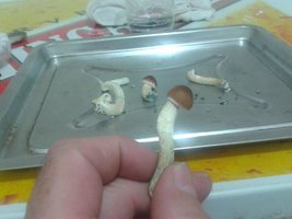 2013-05-06 20.07.35.jpg