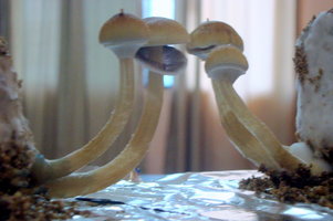 DSC07758.JPG
