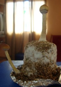 DSC07762.JPG