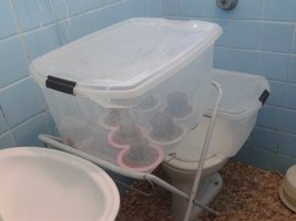 2013-05-09 10.46.44.jpg