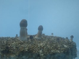 DSC01700.JPG