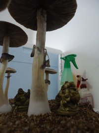 DSC01756.JPG