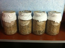 IMG_0688.JPG