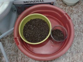 2013-05-12 19.06.55.jpg