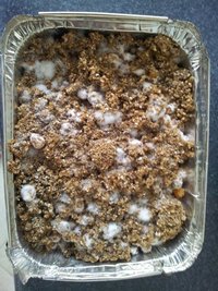 vermiculita.jpg