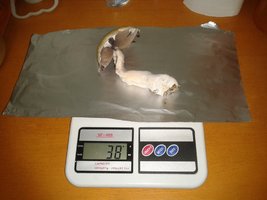 2013-05-19 19.48.14.jpg
