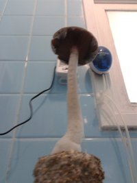 2013-05-20 07.24.31.jpg