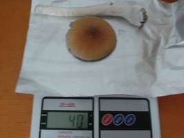 2013-05-20 07.28.17.jpg