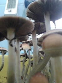 2013-05-26 08.04.00.jpg