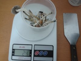 2013-05-26 15.42.46.jpg