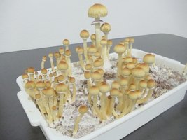 DSC01322.JPG