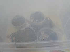 2013-05-31 19.02.30.jpg