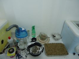 DSC02019.JPG