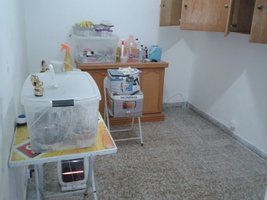 2013-06-01 12.21.42.jpg