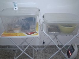 2013-06-01 18.16.26.jpg