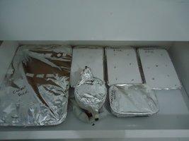 DSC02090.JPG