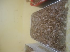 DSC02107.JPG