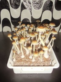 DSC01491.JPG