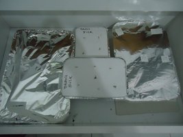 DSC02136.JPG