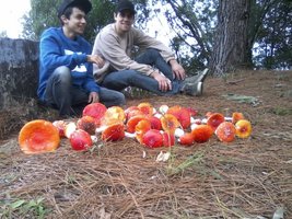 P07-06-13_09.09.jpg