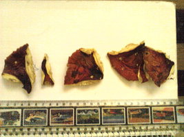 img00138s.jpg