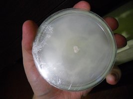 DSCN1091_MINI.JPG