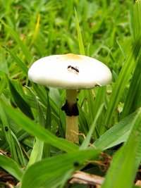 100_2350.JPG